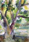 2020 Aquarelle arbre gros&nbsp;plan