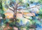 2020 Aquarelle arbre